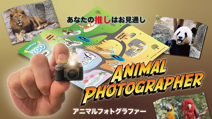 Animal photographer - Image 4