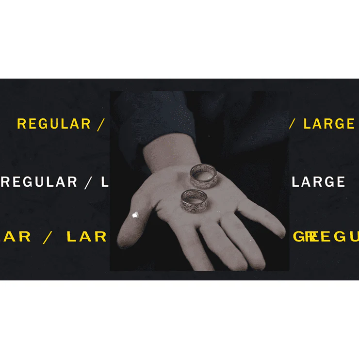 Morgan Coin Ring (Medium) by Alchemist Metal Company- Trick - Image 4