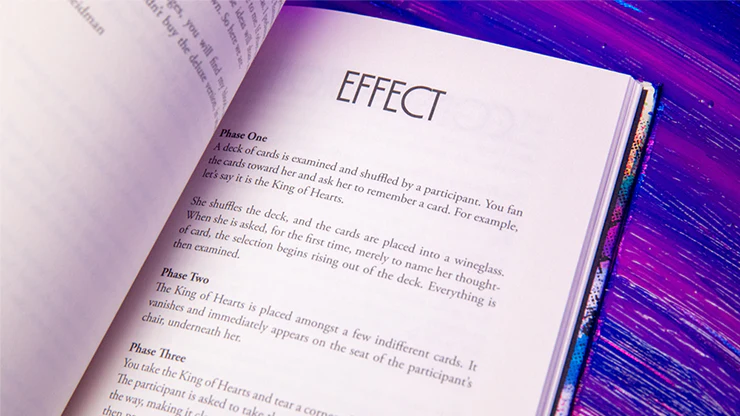 Principles of Destruction by Ben Seidman - Image 3